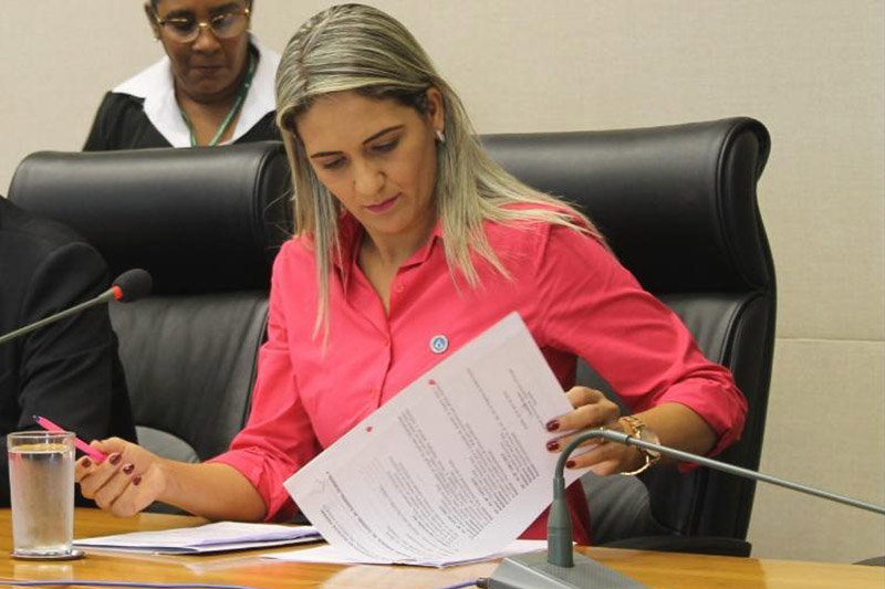 Dep. Jaqueline Silva promove audiência sobre a inclusão de literatura brasiliense no currículo das escolas do DF