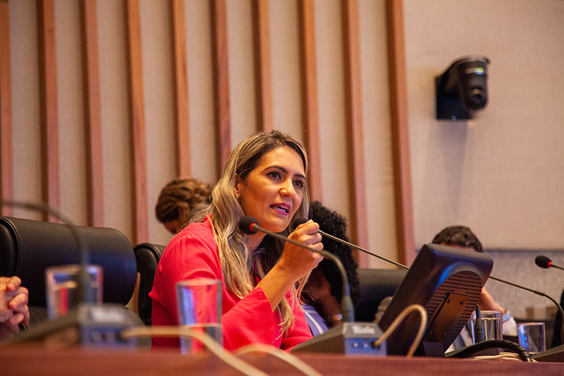 12 mil cestas básicas distribuídas em todo o DF